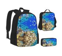 NBHDZENGW Sea Fish Ensemble de 3 sacs à dos imprimés en tissu Oxford 600D pour ordinateur portable avec sac à déjeuner isotherme et trousse à crayons, sac d'école multifonction réglable