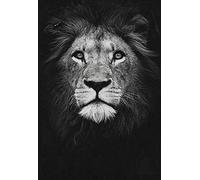 NBHHDH Impression sur Toile Nordique Toile Art Peinture Noir Blanc Lion Imprimé Animal Mur Art Affiche Affiche Salon Décor À La Maison Peinture, 40 × 60 Cm sans Cadre