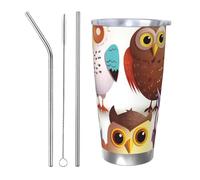 NBSKSDLK Owls Birds Gobelet isotherme de 591 ml en acier inoxydable avec couvercle et paille, tasse de voyage à double paroi pour chaud/froid, tasse thermique anti-déversement pour la maison, le