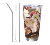 NBSKSDLK Plum Tree Blossom Gobelet isotherme de 591 ml en acier inoxydable avec couvercle et paille, tasse de voyage à double paroi pour chaud/froid, tasse thermique anti-déversement pour la maison