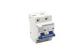 NBT2-125 2P 80A100A 125A 230/400VAC MCB Circuit Breaker Miniature main switch D Curve Mater Switch NWPNLXEA(100A)