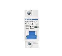 NBT2-125DC 1P 2P 4P PV Din Rail DC 300V 600V 1000V 125A 10ka C courbe interrupteur solaire Mini disjoncteur MCB Interrupteur automatique (Color : 125A, Size : 1P 300VDC)
