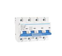 NBT2-125DC 1P 2P 4P PV Din Rail DC 300V 600V 1000V 125A 10ka C courbe interrupteur solaire Mini disjoncteur MCB Interrupteur automatique (Color : 125A, Size : 4P 1000VDC)