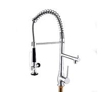 NBYGSC Down Sort Out Commercial Spring Kitchen Faucet Hot and Cold Water Deck Mounted Chrome Use Spot 2 Spout avec Pomme de Douche économique Standard