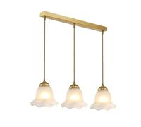 NBYGSC Pendant Light Fixtures for Dining Room, Bedroom Hallway, Kitchen and Living Spaces - Brushed Brass Finish (14cm)