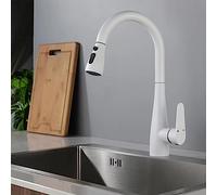 NBYGSC Robinet de mélangeur d'évier avec pulvérisateur, robinets en Laiton en Laiton Chaud à Eau Froide Multifonction Mon Seul Trou de Cuisine