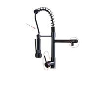 NBYGSC Robinet pivotant chromé Double pulvérisateur la buse à Ressort pour récipient Finition Bronze Noir Moderne Tiélectricité l'évier de Cuisine 1 pcs