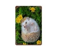 NBZRAOFV A little hedgehog in the flower garden,Tin Sign Vintage Retro Man Cave Bar Pub Shed Novelty Gift Aluminium Metal Tin Wall Décor Sign,-yV553（8x12Inch）