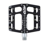 NC-17 Pédales à Plateforme Sudpin IV XL TNT noir universal