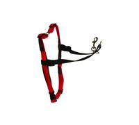 NC Harnais D'education Halti HarnaisessL