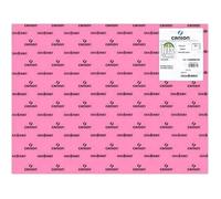 Nc Papiers Carton Iris Rose 50 X 65 Cm (25 Unités)
