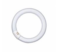 NCC-Licht Ampoule fluorescente en forme d'anneau T9 L 22 W/865 G10q lumière du jour 6500 K blanc froid