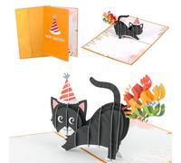 NCCHDZSW Carte d'anniversaire pop-up 3D Chat Carte De Voeux avec Enveloppe, Carte de Félicitations Carte Surprise Carte Anniversaire 3D pour Votre Famille vos Amis et Votre Amoureux