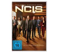 NCIS - Staffel 21 (DVD) Gary Cole Sean Murray