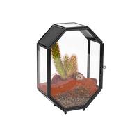 NCYP 12,7x6x17,8cm Mini Terrarium en Verre avec Aération et Porte pour Plantes, Araignées Sautées, Insectes, Petite Enceinte Géométrique Fermée Octogonale (Plantes et Accessoires Non Inclus)