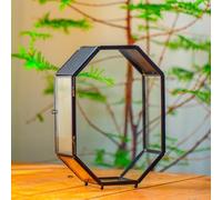 NCYP 15,8x8x22,1 cm Octogonale Terrarium en Verre avec Maille et Porte pour Araignées, Insectes, Petites Plantes (Plantes et Accessoires Non Inclus)