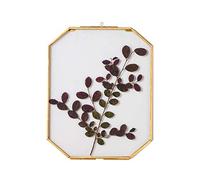NCYP 20,3 x 25,4 cm Cadre photo à suspendre en laiton, double décoration murale en verre, herbier octogonal pour fleurs, affiche spécimen de plantes, cadre flottant doré (cadre en verre uniquement)