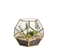 NCYP Terrarium en Forme de dodécaèdre et plaques de Verre pentagonales pour Plante Transparent Gold Copper Transparent (Pas de Plantes)