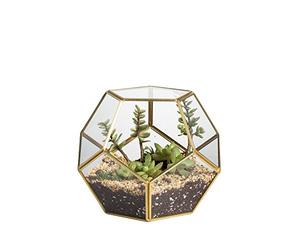 NCYP Terrarium en Forme de dodécaèdre et plaques de Verre pentagonales pour Plante Transparent Gold Copper Transparent (Pas de Plantes)