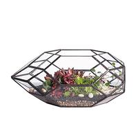 NCYP Terrarium géométrique en Verre, Noir Pot de Fleurs irrégulier pour Plantes succulentes, Centre de Table pour décoration de Jardin de Mariage, 16,5x15x28cm (sans Plantes)
