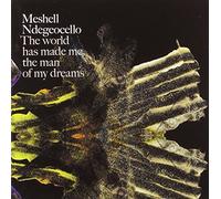 Ndegeocello, Me'Shell - World Has Made Me the..