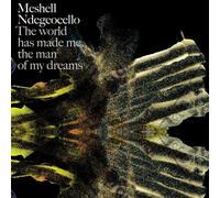 Ndegeocello, Meshell - World Has Made Me The Man of My Dreams