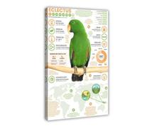 NDGSA Impression sur toile représentant un perroquet éclectique - Infographie de la faune (2) - Décoration murale pour salon, chambre à coucher - 60 x 90 cm