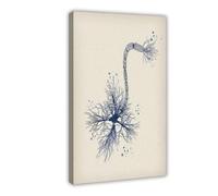 NDGSA Poster sur toile représentant la structure du système nerveux humain, art du cerveau (8) - Décoration murale pour salon, chambre à coucher - 20 x 30 cm