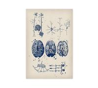 NDGSA Poster sur toile Structure du système nerveux humain, art du cerveau (3) - Décoration de chambre à coucher, bureau, chambre, cadeau 30 x 45 cm