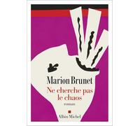 Ne cherche pas le chaos - Marion Brunet - Albin Michel - broché - Roman