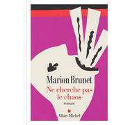 Ne cherche pas le chaos - Marion Brunet - Albin Michel - ebook (ePub) - Roman