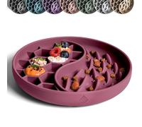 ne&no Gamelle anti-glouton pour chiens et chats I Slow Feeder I Tapis anti-fuite pour chien avec grande ventouse I Tapis de léchage pour nourriture humide et sèche (ruby)