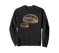 Ne Parlez Plus jamais à Moi ou à Mon Fils Funny Seal Meme Sweatshirt