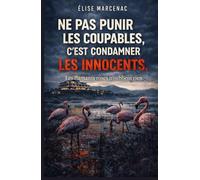 NE PAS PUNIR LES COUPABLES, C’EST CONDAMNER LES INNOCENTS : Les flamants roses n’oublient rien: un thriller noir, social et politique
