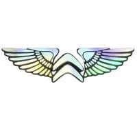 NEAFP Autocollant de Logo de Voiture pour Citroen C2 C3 C4L C4 C5 C6 C8 Picasso Cactus Aircross C3-XR, Emblème Stylisé Avant et Arrière Décoration Extérieure de Voiture Accessoires Modifiés