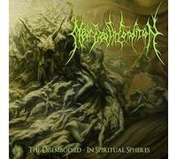 Near death condition - The disembodied-in Spiritual Spheres [Import]