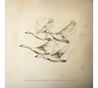 Wild Geese / Near the Pond