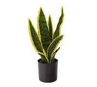 NearlyNatural Plante Artificielle Sansevieria 35,6 cm