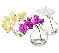 NearlyNatural Presque Naturel 22,9 cm Arrangement de Orchidée Phalaenopsis en Vase, Multi/Couleur