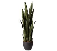 NearlyNatural Presque Naturel 4855 Sansevieria Plante avec Pot de Fleurs Noir, Vert