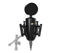 NEAT King Bee II - Microphone à condensateur cardioïde Authentique à Grand diaphragme, avec Support Antichoc et Filtre Anti-Pop pour l'enregistrement Vocal, Le Podcast, Le Streaming, Sortie XLR