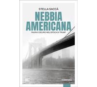Nebbia americana Paura e delirio nell'epoca di Trump - Stella Saccà - il Millimetro - ebook (ePub) - Livre