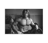 NebulaNova Arnold Schwarzenegger 1 poster sur toile - Décoration de chambre à coucher - Paysage sportif - Bureau - Décoration - Cadeau - Style sans cadre - 40 x 60 cm