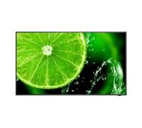 Télévision LCD - NEC - MultiSync E438 - 42,5"" - 4K Ultra HD - Noir - Direct-LED