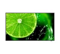 Télévision LCD - NEC - MultiSync E438 - 42,5"" - 4K Ultra HD - Noir - Direct-LED