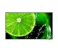 Écran - NEC - E498 - 49"" - Ultra HD 4K - IPS - Direct-LED
