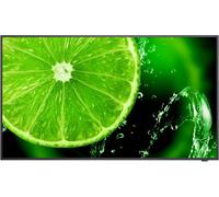 NEC MultiSync E498 - 49" E Series écran LCD rétro-éclairé par LED - signalisation numérique - 4K UHD (2160p) 3840 x 2160 - HDR - LED à éclairage direct