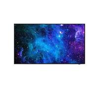 NEC MultiSync E498 49" Display