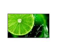 NEC MultiSync E558 Écran professionnel 4K Ultra HD de 138,7cm avec luminosité de 350 cd/m² et fonctionnement 16/7, idéal pour une signalisation