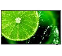 NEC MultiSync E658 165,1 cm (65") IPS 350 cd/m² 4K Ultra HD Noir 16/7